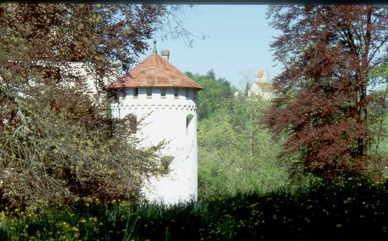 Schloss Syrgenstein - Mai 2001 - Löwenzahnblüte, im Hintergrund Eglofs mit seiner Kirche