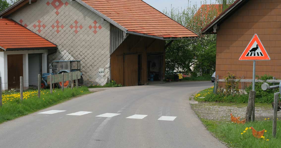 An dieser Stelle fanden schon viele Hennen ihren Tod - unter Autos! Heimhofen / Stiefenhofen / Westallgäu