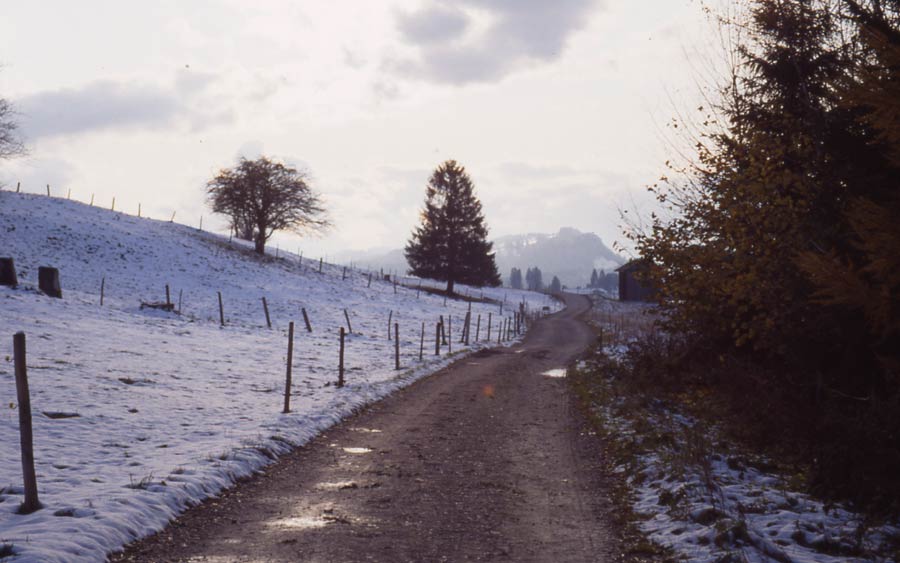 Rottachsee (Allgäu) / Winterwanderung bei Gschwend