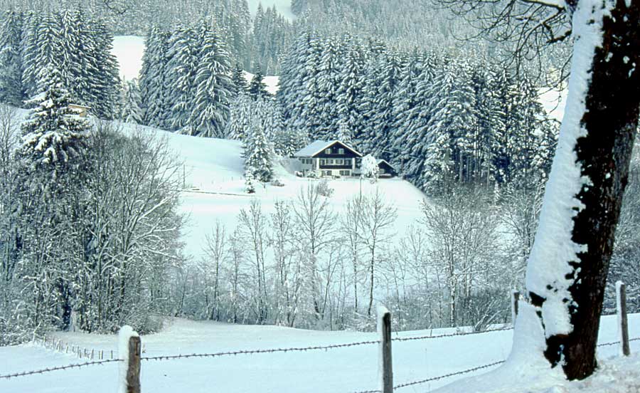 Winter im Allgäu / Sibratshofen