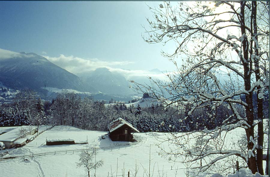 Winter im Allgäu / Oberstdorfer Berge (links Rubihorn)