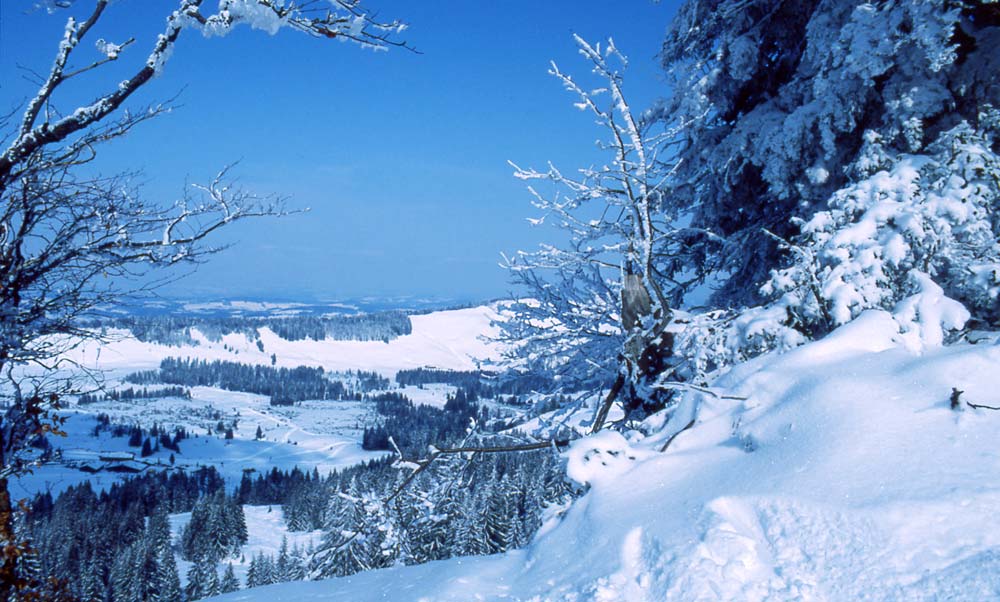 Winter im Allgäu / Blick vom Hohen Häderich (A) auf  Talstation