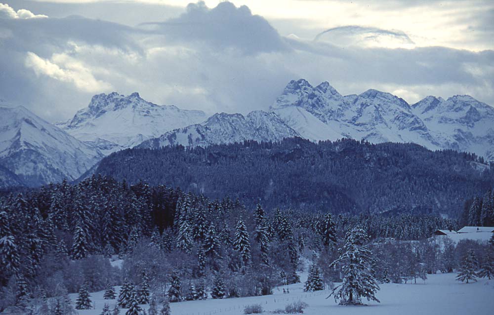 Winter im Allgäu / Söllereck