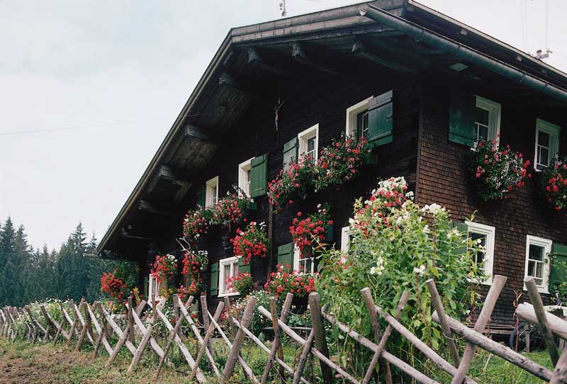 Bergbauern Hof