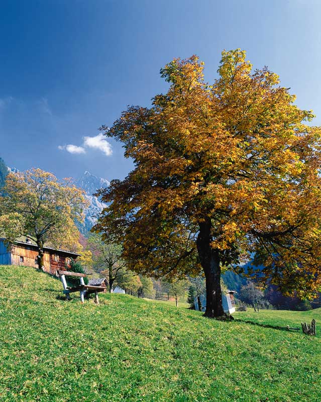 Herbst im Stillachtal (Oberstdorf)