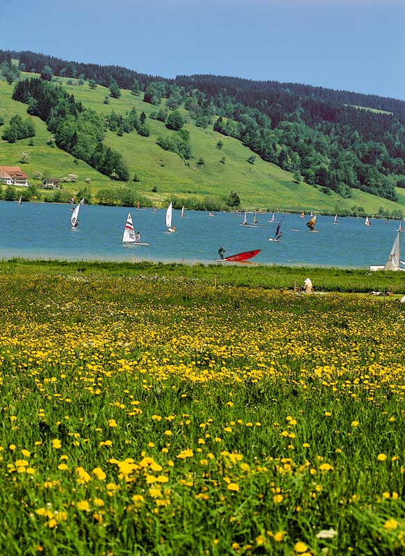 Rottach Speicher - konsatnte Windverhältnisse garantieren maximalen Surfspass