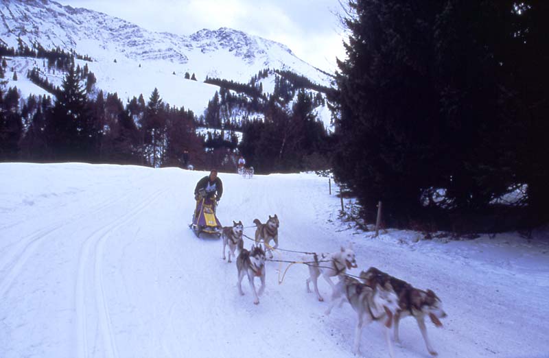 SchlittenhunderennenUnterjoch