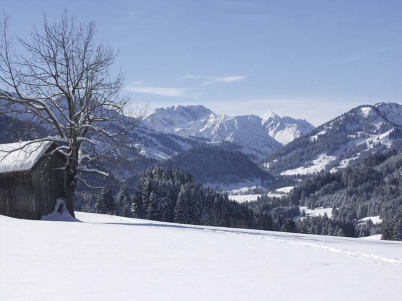 Winter / Panorama mit den Allgäuer Alpen