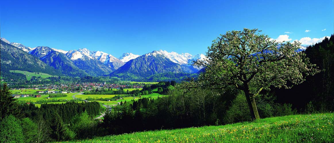 Oberstdorf Panorama Sommer